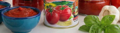 Hazana Tomato Paste